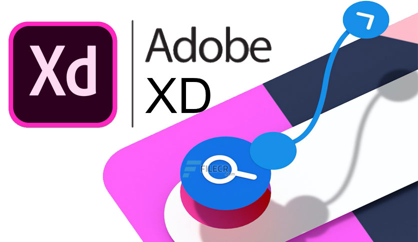 adobe xd download file size