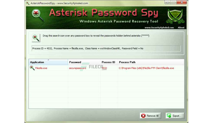 Asterisk Password Spy 11.0