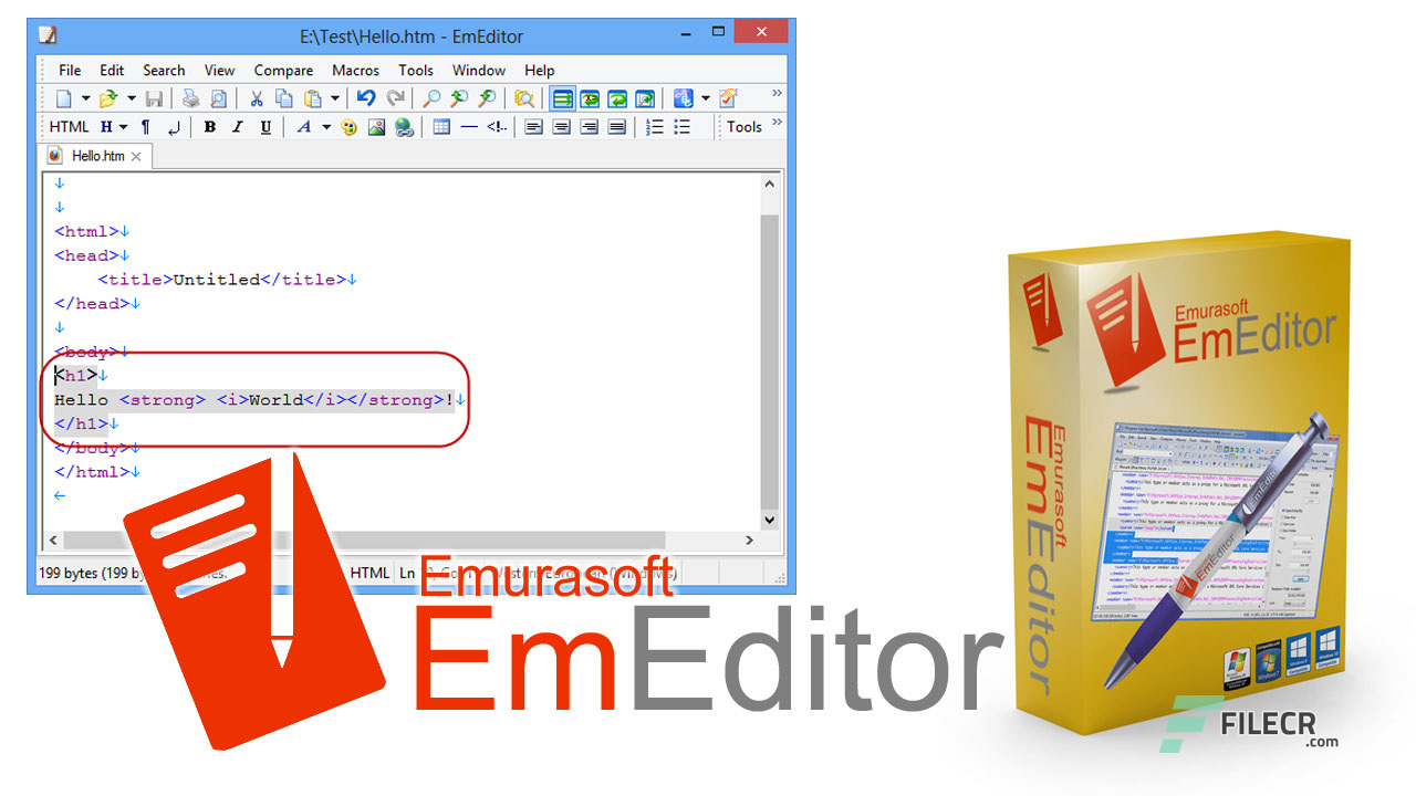 instaling EmEditor Professional 22.5.2