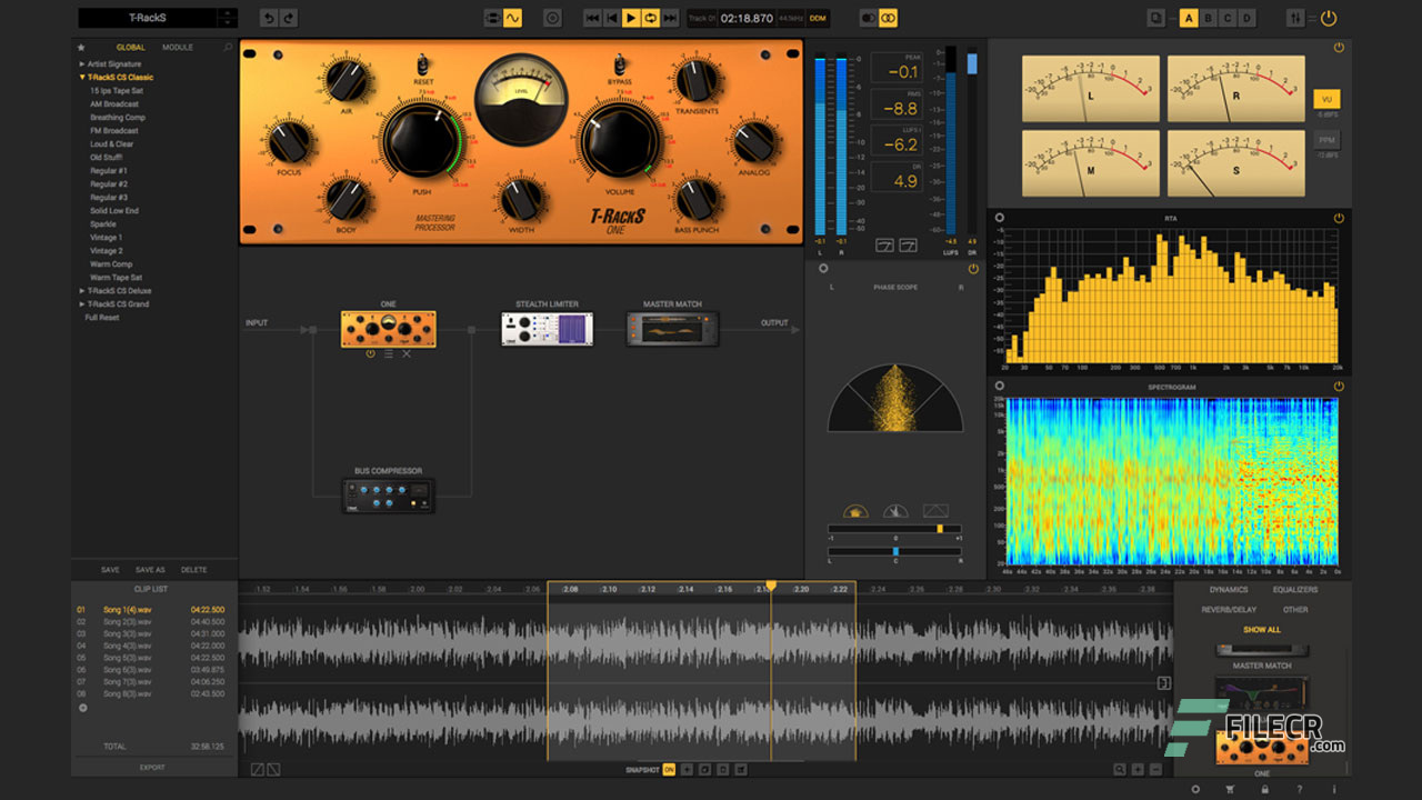 IK Multimedia T-RackS 5 Deluxe Mixing and Mastering