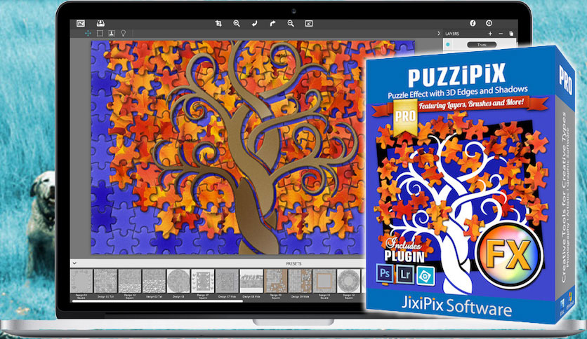 JixiPix PuzziPix Pro 1.0.20 instal the new version for mac