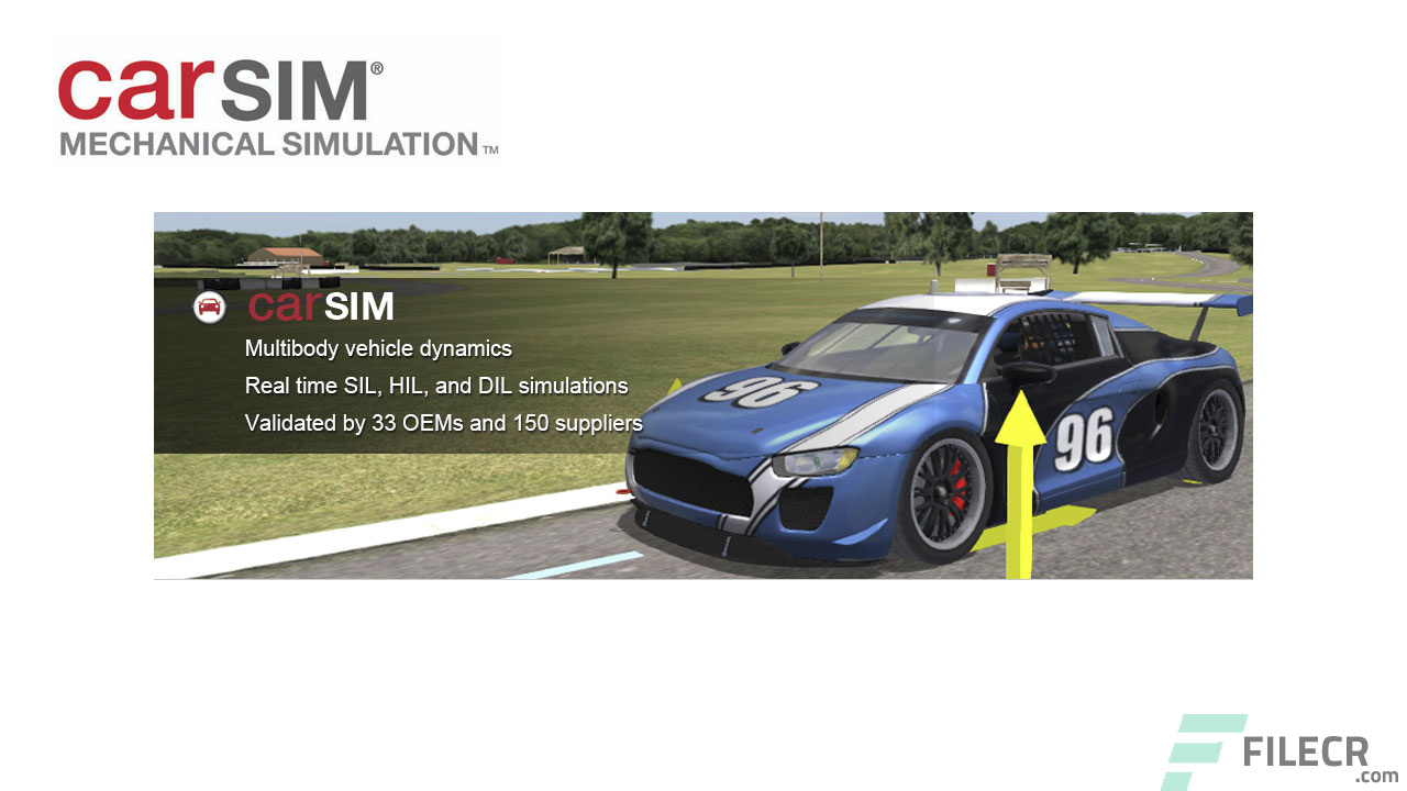 Mechanical Simulation CarSim Crack