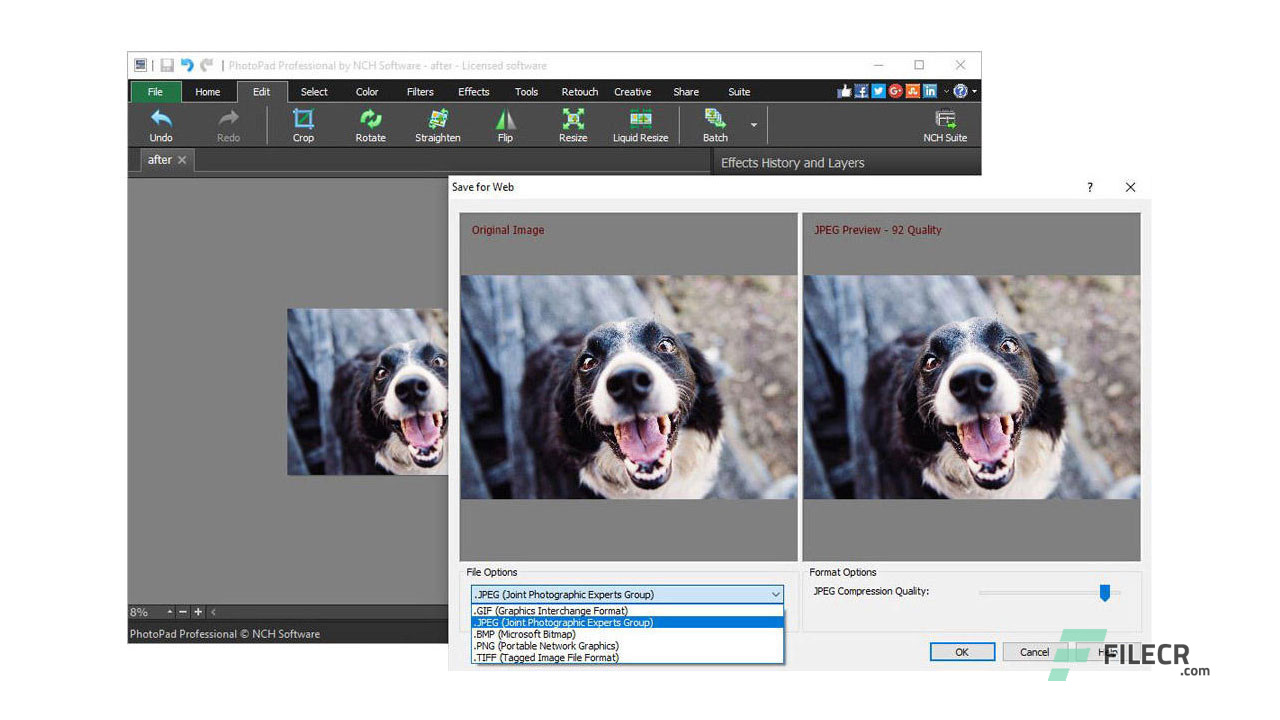 NCH PhotoPad Image Editor 11.56 instal