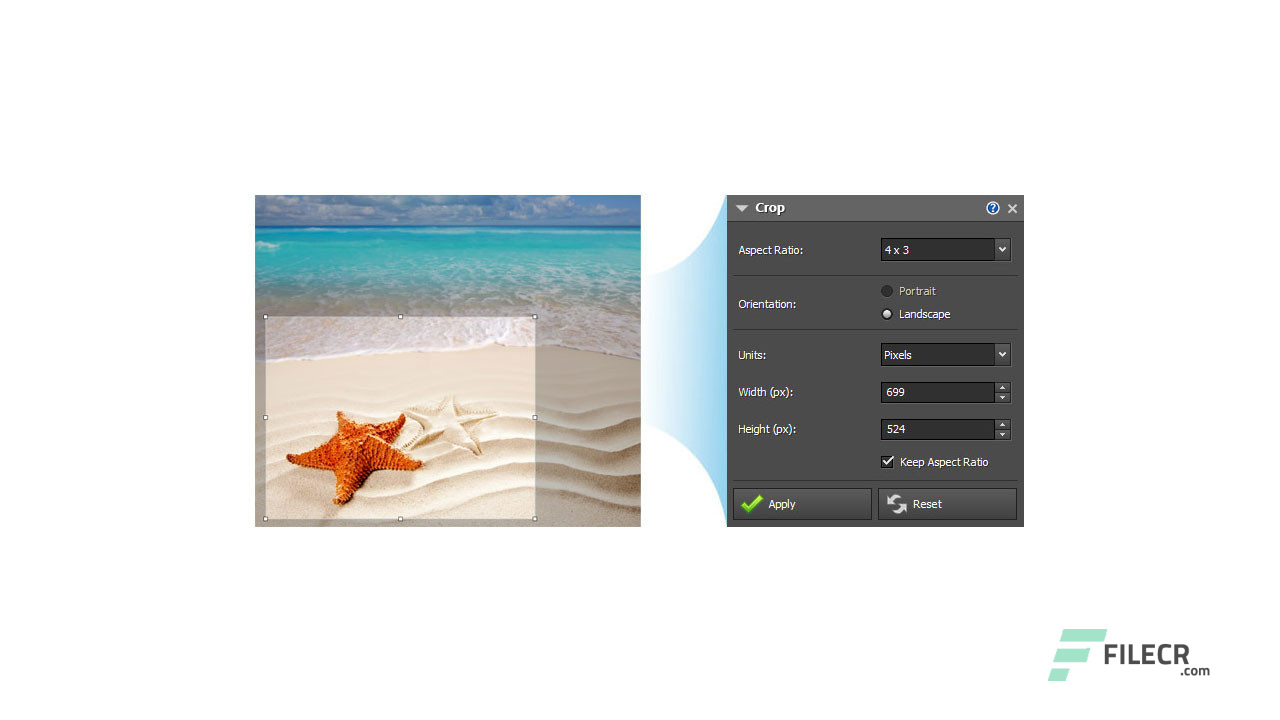 download the new for android NCH PhotoPad Image Editor 11.56