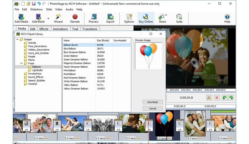 free download PhotoStage Slideshow Producer Professional 10.78
