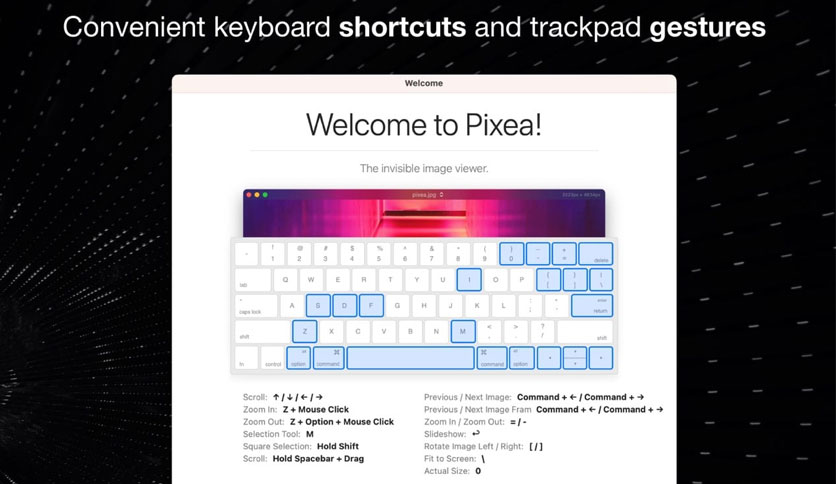 Pixea Plus download the last version for windows