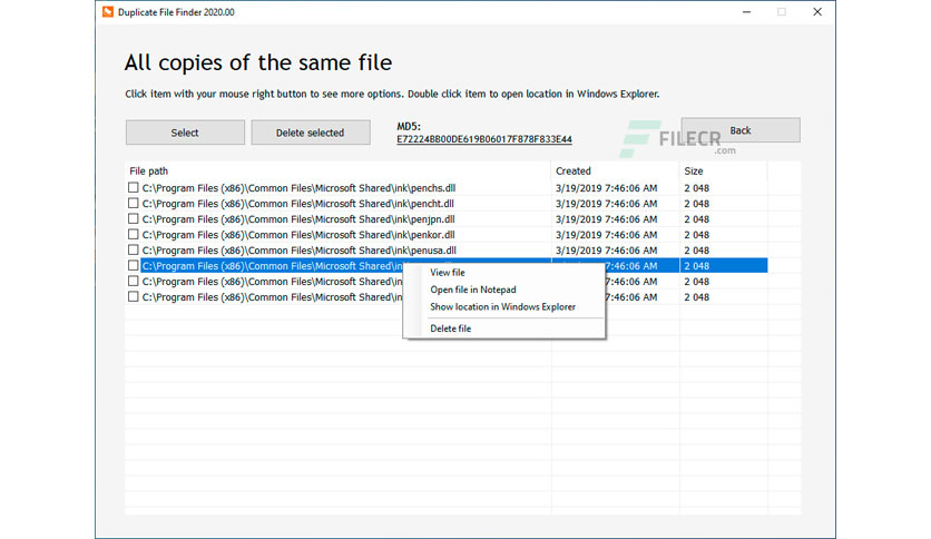 Duplicate File Finder Professional 2023.17 for windows instal free
