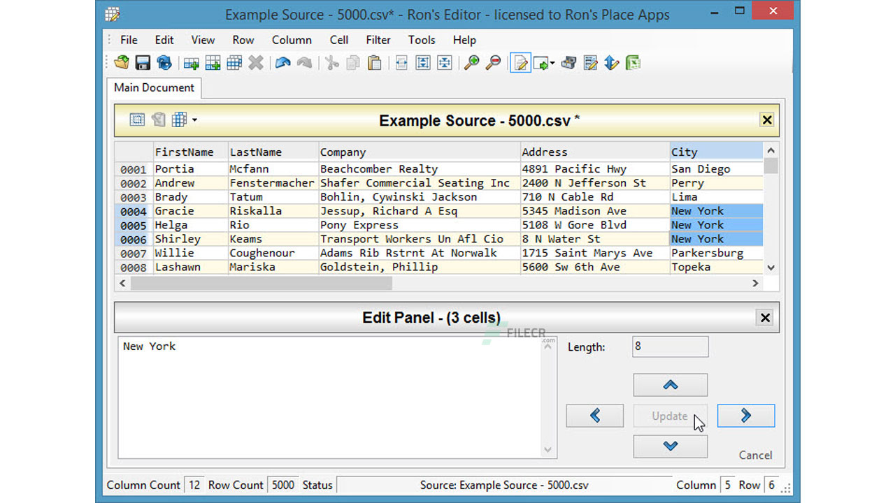Panel editor. РОНС эдитор. Rons CSV Editor. Windows Ron's Editor. Sample source программа.