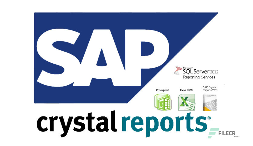 SAP Crystal Reports Crack