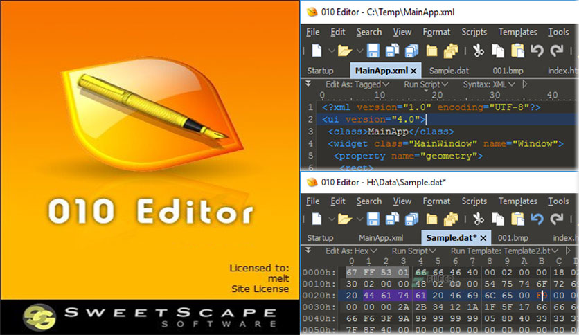 010 Editor 14.0 for windows instal