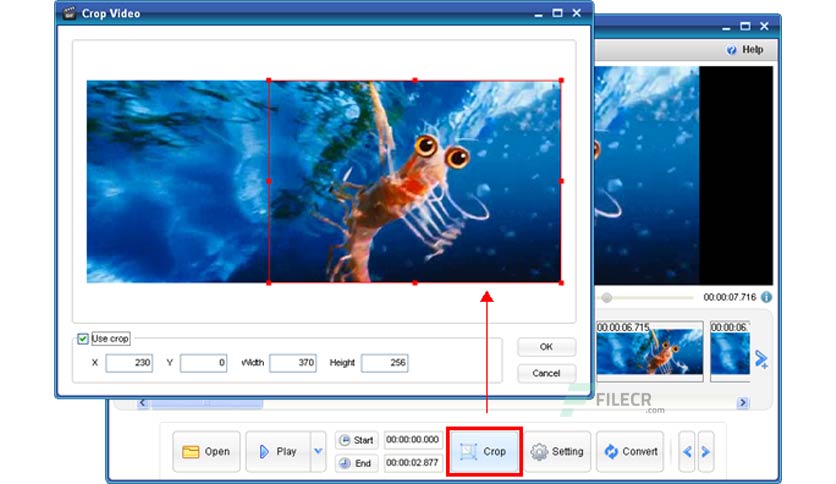 ThunderSoft Reverse GIF Maker Free Download - My Software Free