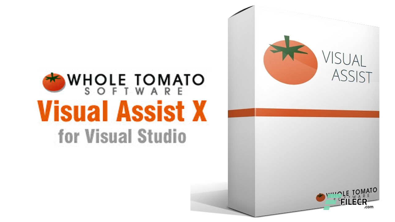 Visual Assist X 10.9.2341.2
