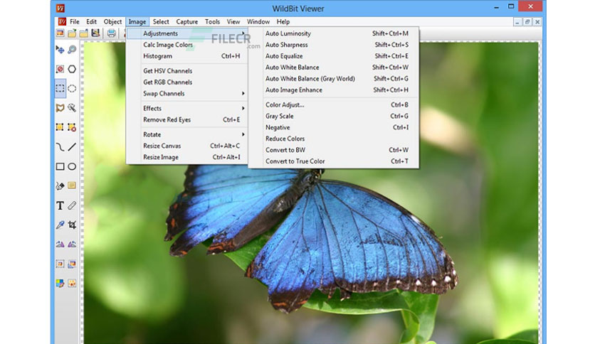 download the new version for apple WildBit Viewer Pro 6.12
