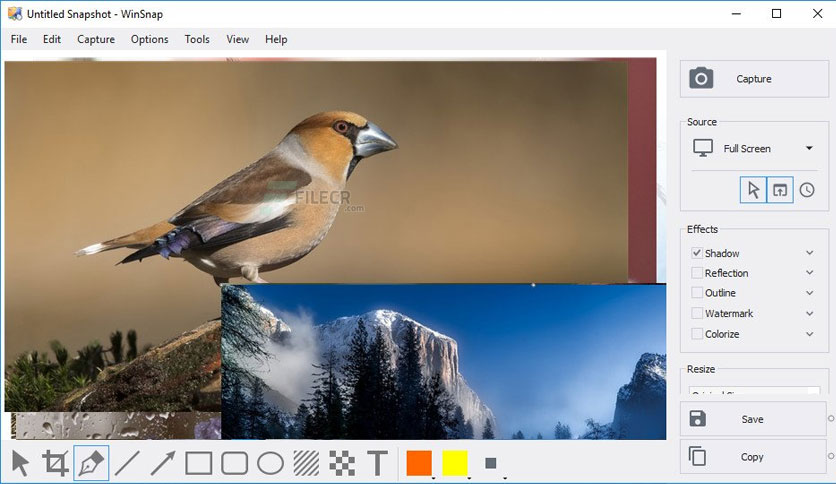 WinSnap 6.0.9 download the new for windows