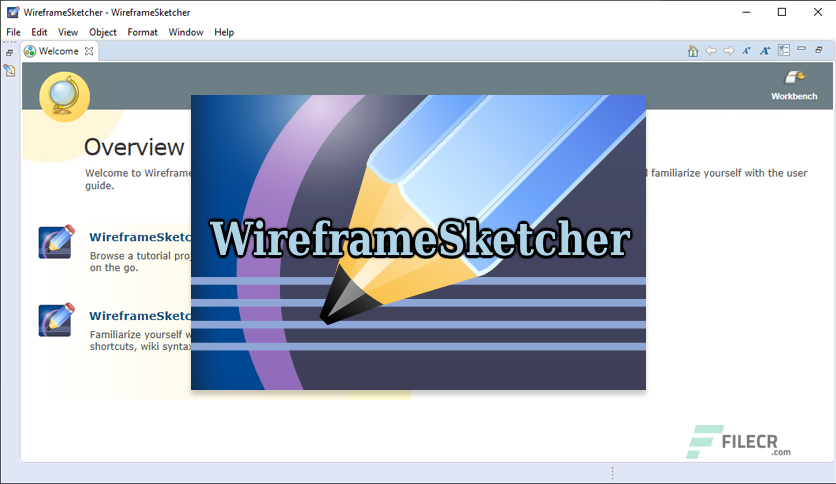 WireframeSketcher 6.2.2