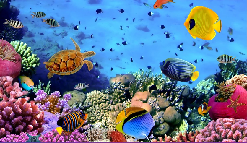 Aquarium 4K - Live Wallpaper for MacOS Download (Latest 2024) - FileCR